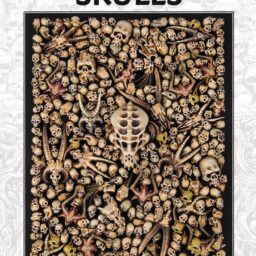 Warhammer - Citadel Skulls (64-29)