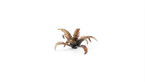 Gamers Grass Alien Fern