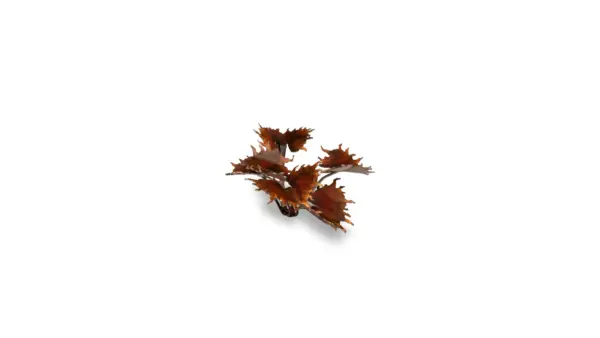 Gamers Grass Alien Flytrap