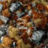 Gamers Grass Brown 2mm