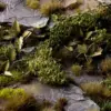 Gamers Grass Dark Green Shrubs (Wild)