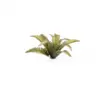 Gamers Grass Deer Fern
