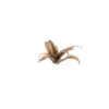 Gamers Grass Deer Fern