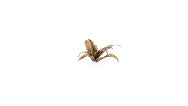 Gamers Grass Deer Fern