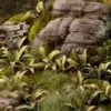 Gamers Grass Deer Fern