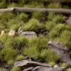 Gamers Grass Green 4mm Wild