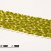 Gamers Grass Moss 2mm