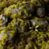 Gamers Grass Moss 2mm
