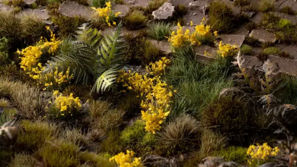 Gamers Grass Yellow Flowers