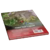 Dungeons &Amp; Dragons - Forgotten Realms: Heroes Of Faerun - En