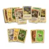 Catan O Jogo De Cartas2 Catan O Jogo De Cartas